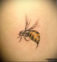 фото тату пчела для статьи про значение татуировки пчела — 18