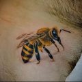 фото тату пчела для статьи про значение татуировки пчела - 26