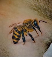 фото тату пчела для статьи про значение татуировки пчела — 26