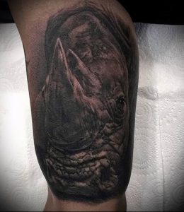 фото тату носорог (rhino tattoo) (значение) - пример рисунка - 027 tatufoto.com