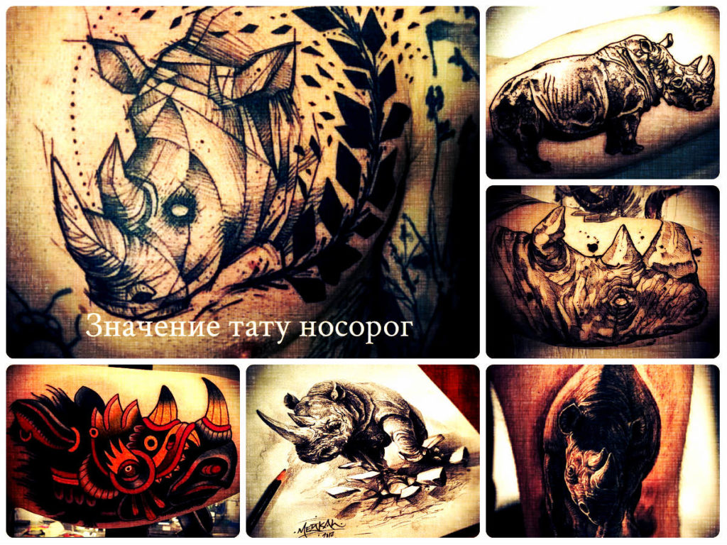 Значение тату носорог - прикольные рисунки на фото готовых татуировок - варианты