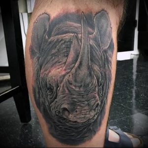 фото тату носорог (rhino tattoo) (значение) - пример рисунка - 001 tatufoto.com