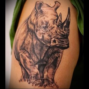 фото тату носорог (rhino tattoo) (значение) - пример рисунка - 002 tatufoto.com