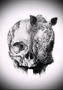 фото тату носорог (rhino tattoo) (значение) - пример рисунка - 004 tatufoto.com