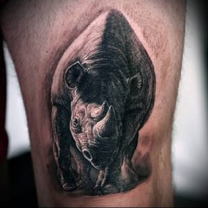 фото тату носорог (rhino tattoo) (значение) - пример рисунка - 006 tatufoto.com
