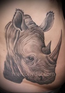 фото тату носорог (rhino tattoo) (значение) - пример рисунка - 007 tatufoto.com