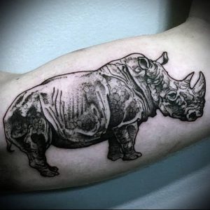 фото тату носорог (rhino tattoo) (значение) - пример рисунка - 011 tatufoto.com