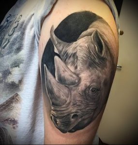 фото тату носорог (rhino tattoo) (значение) - пример рисунка - 013 tatufoto.com
