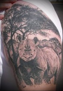 фото тату носорог (rhino tattoo) (значение) - пример рисунка - 016 tatufoto.com