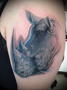 фото тату носорог (rhino tattoo) (значение) - пример рисунка - 018 tatufoto.com