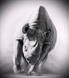фото тату носорог (rhino tattoo) (значение) - пример рисунка - 019 tatufoto.com