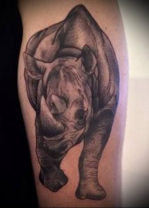 фото тату носорог (rhino tattoo) (значение) - пример рисунка - 024 tatufoto.com