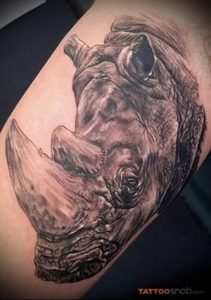 фото тату носорог (rhino tattoo) (значение) - пример рисунка - 025 tatufoto.com