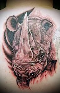 фото тату носорог (rhino tattoo) (значение) - пример рисунка - 026 tatufoto.com