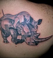 фото тату носорог (rhino tattoo) (значение) — пример рисунка — 039 tatufoto.com