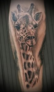фото тату ЖИРАФ (Tattoo giraffe) (значение) - пример рисунка - 007 tatufoto.com