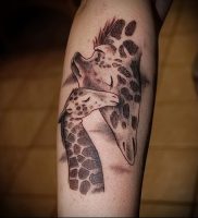 фото тату ЖИРАФ (Tattoo giraffe) (значение) — пример рисунка — 044 tatufoto.com