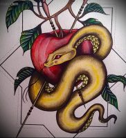 фото тату С ЯБЛОКОМ (Tattoo apple photo) (значение) — пример рисунка — 032 tatufoto.com