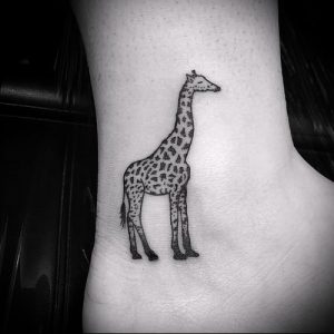 фото тату ЖИРАФ (Tattoo giraffe) (значение) - пример рисунка - 016 tatufoto.com