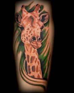 фото тату ЖИРАФ (Tattoo giraffe) (значение) - пример рисунка - 018 tatufoto.com
