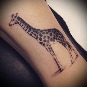 фото тату ЖИРАФ (Tattoo giraffe) (значение) - пример рисунка - 023 tatufoto.com