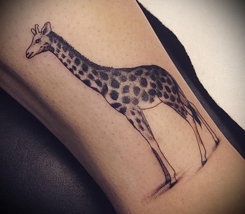 фото тату ЖИРАФ (Tattoo giraffe) (значение) - пример рисунка - 023 tatufoto.com