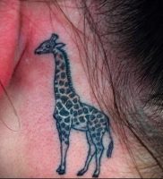 фото тату ЖИРАФ (Tattoo giraffe) (значение) — пример рисунка — 040 tatufoto.com