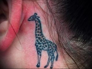 фото тату ЖИРАФ (Tattoo giraffe) (значение) - пример рисунка - 040 tatufoto.com