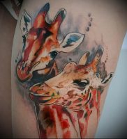 фото тату ЖИРАФ (Tattoo giraffe) (значение) — пример рисунка — 050 tatufoto.com