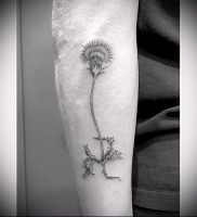Фото татуировки чертополох — пример рисунка — 26052017 — пример — 004 Tattoo thistles