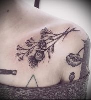 Фото татуировки чертополох — пример рисунка — 26052017 — пример — 016 Tattoo thistles
