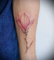 Фото тату магнолия — 30052017 — пример — 001 Magnolia tattoo