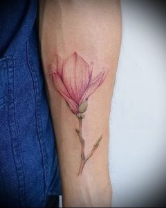 Фото тату магнолия - 30052017 - пример - 001 Magnolia tattoo