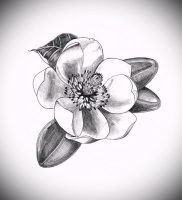 Фото тату магнолия — 30052017 — пример — 002 Magnolia tattoo