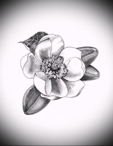 Фото тату магнолия - 30052017 - пример - 002 Magnolia tattoo