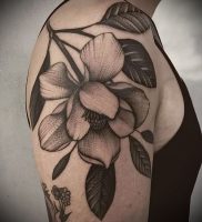 Фото тату магнолия — 30052017 — пример — 007 Magnolia tattoo