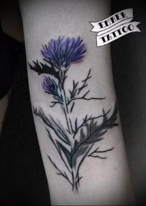 Фото татуировки чертополох - пример рисунка - 26052017 - пример - 001 Tattoo thistles