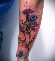 Фото татуировки чертополох — пример рисунка — 26052017 — пример — 005 Tattoo thistles