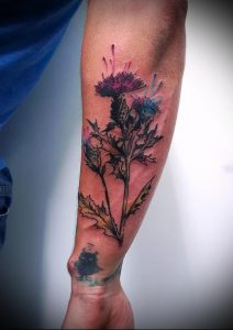 Фото татуировки чертополох - пример рисунка - 26052017 - пример - 005 Tattoo thistles