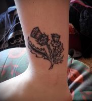 Фото татуировки чертополох — пример рисунка — 26052017 — пример — 012 Tattoo thistles