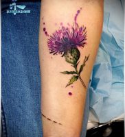Фото татуировки чертополох — пример рисунка — 26052017 — пример — 015 Tattoo thistles