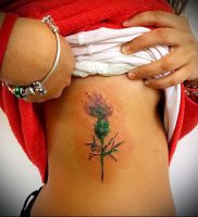 Фото татуировки чертополох — пример рисунка — 26052017 — пример — 018 Tattoo thistles