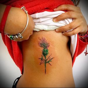 Фото татуировки чертополох - пример рисунка - 26052017 - пример - 018 Tattoo thistles
