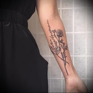 Фото татуировки чертополох - пример рисунка - 26052017 - пример - 020 Tattoo thistles