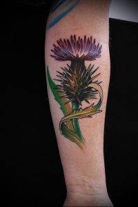 Фото татуировки чертополох - пример рисунка - 26052017 - пример - 024 Tattoo thistles
