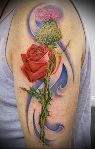 Фото татуировки чертополох - пример рисунка - 26052017 - пример - 027 Tattoo thistles