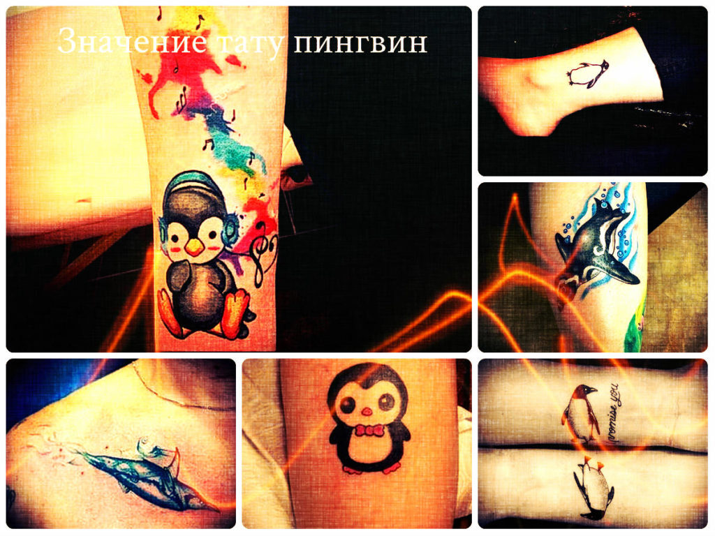 Значение тату пингвин - фото примеры рисунков готовых тату