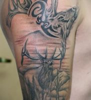 Фото тату лось — 30052017 — пример — 002 tattoo elk