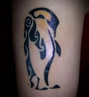 Фото тату пингвин — 05062017 — пример — 083 Tattoo penguin