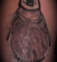 Фото тату пингвин — 05062017 — пример — 086 Tattoo penguin